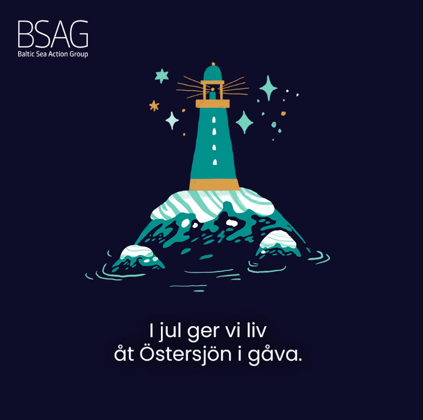 BSAG fysen