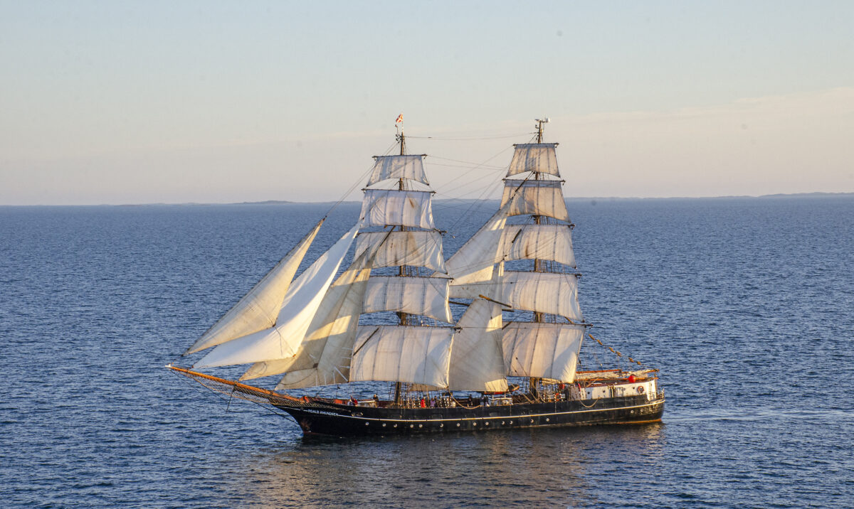 Tall Ships Race